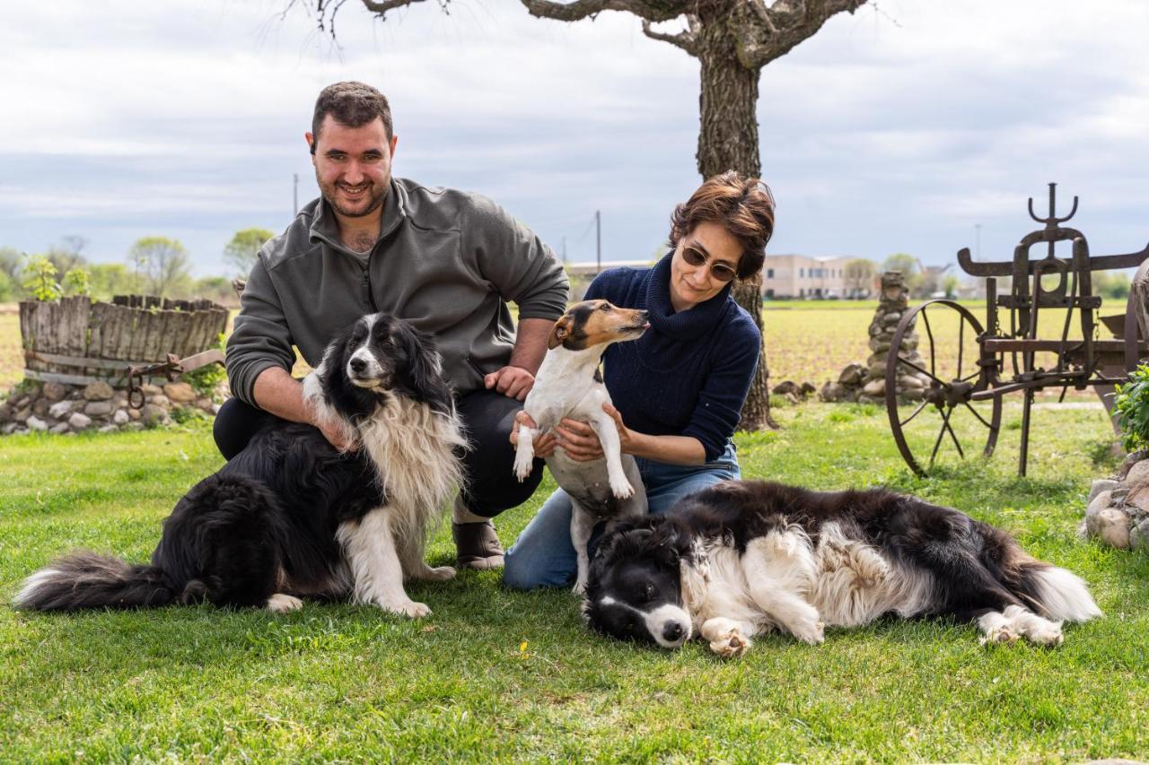Agriturismo Pozzo Fiorito Castiglione Delle Stiviere Eksteriør bilde