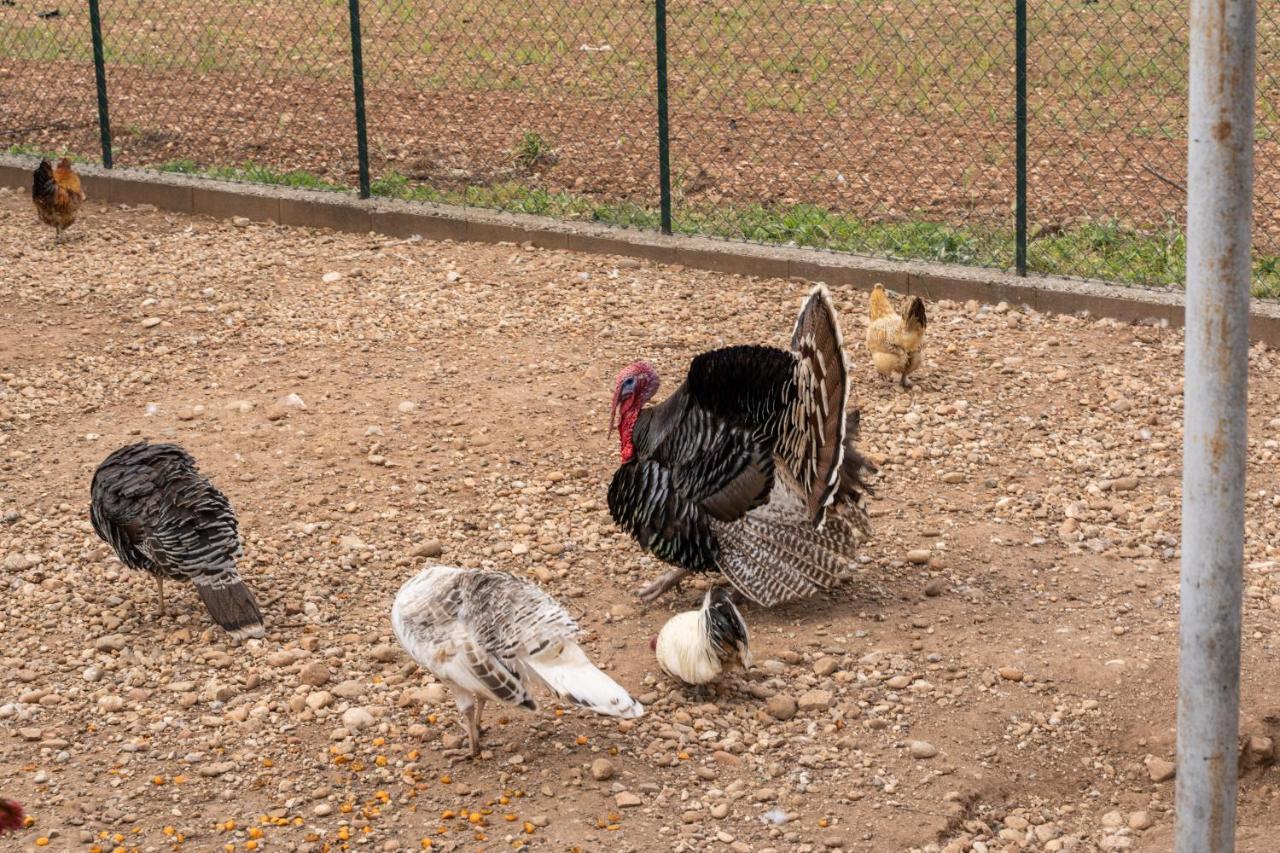 Agriturismo Pozzo Fiorito Castiglione Delle Stiviere Eksteriør bilde