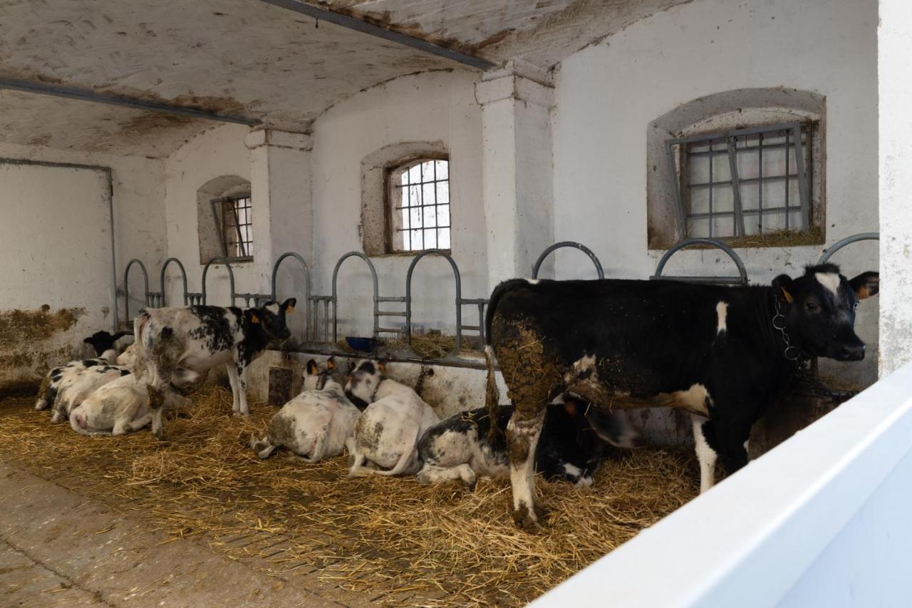 Agriturismo Pozzo Fiorito Castiglione Delle Stiviere Eksteriør bilde